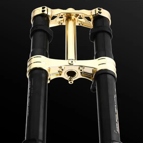 RFloXa Hawk31 Max (Gold) Emoto Warehouse